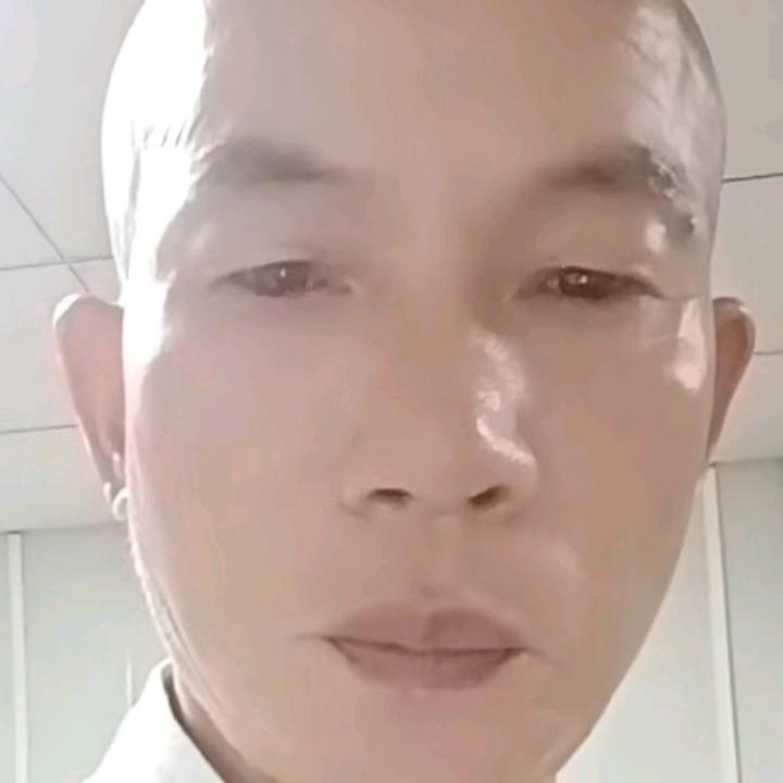 枫叶🍁🍁🍁🍁