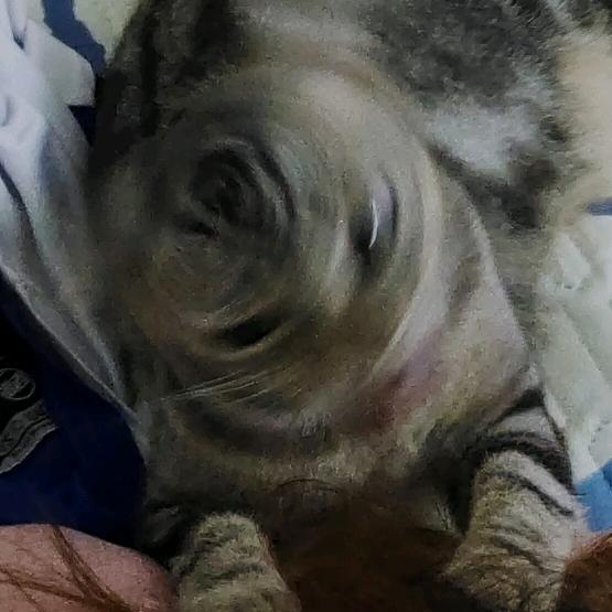 Big慢
