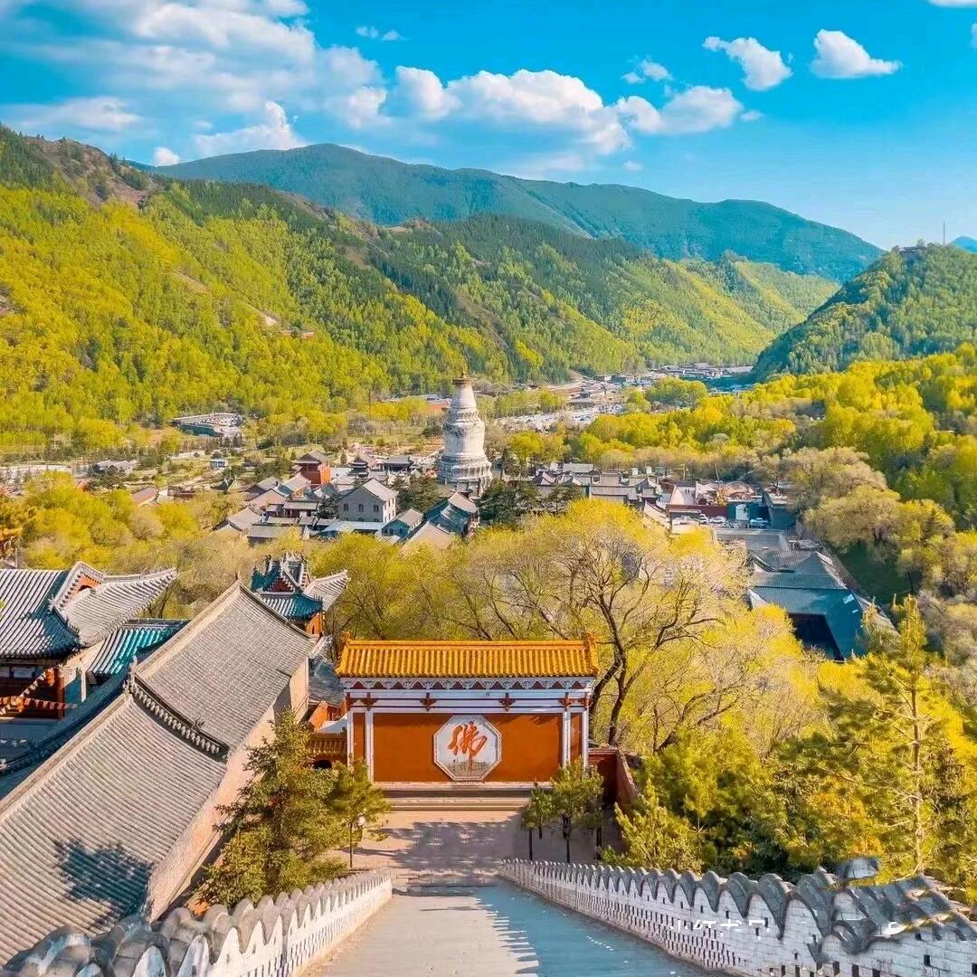 五台山小薇儿