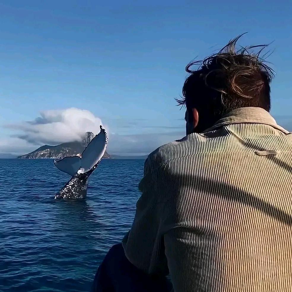 柏林（团队纳新）