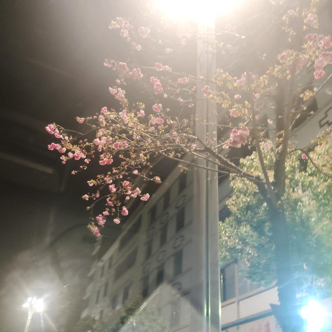 《姜》  丝煮可乐