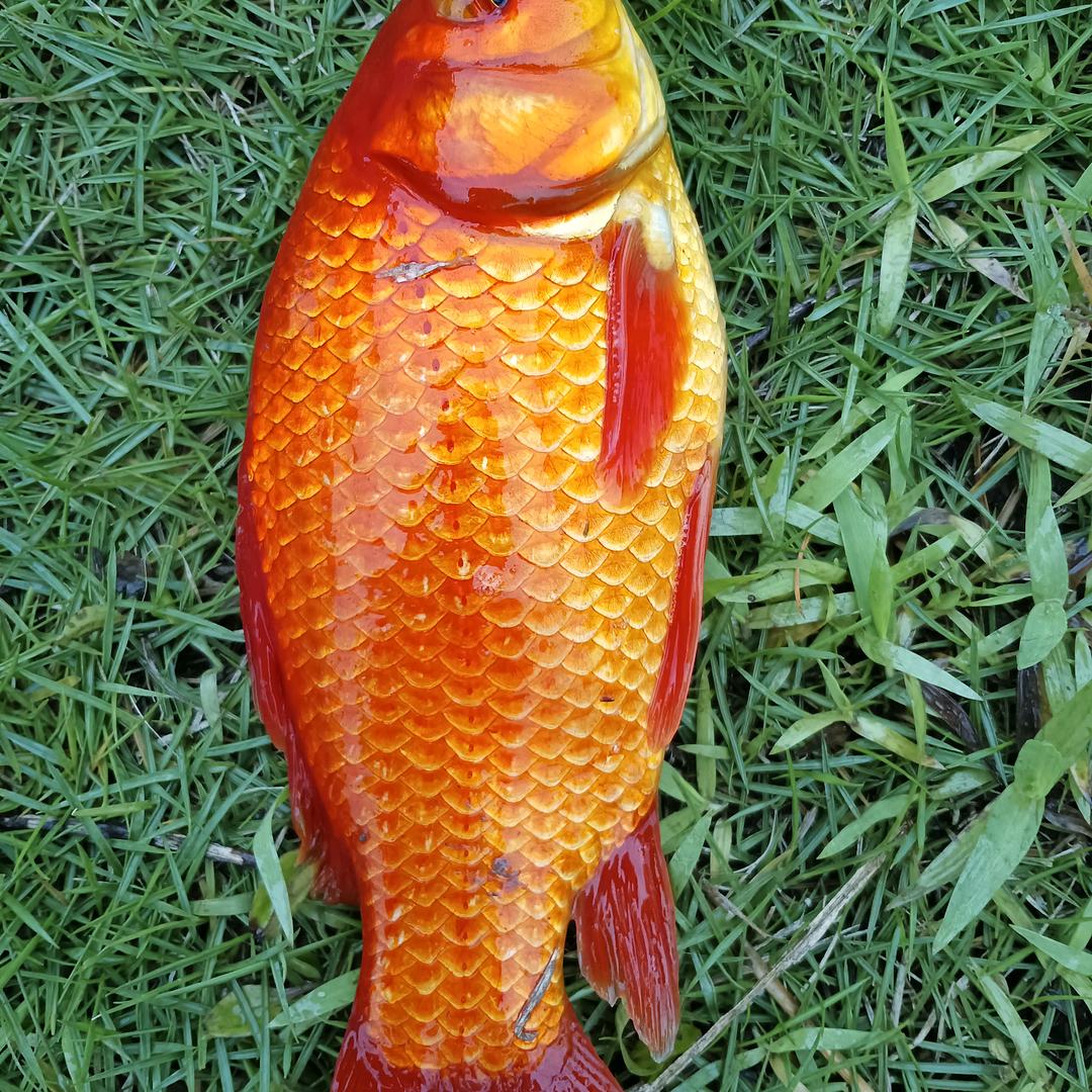 邱帅野钓🦈🐟