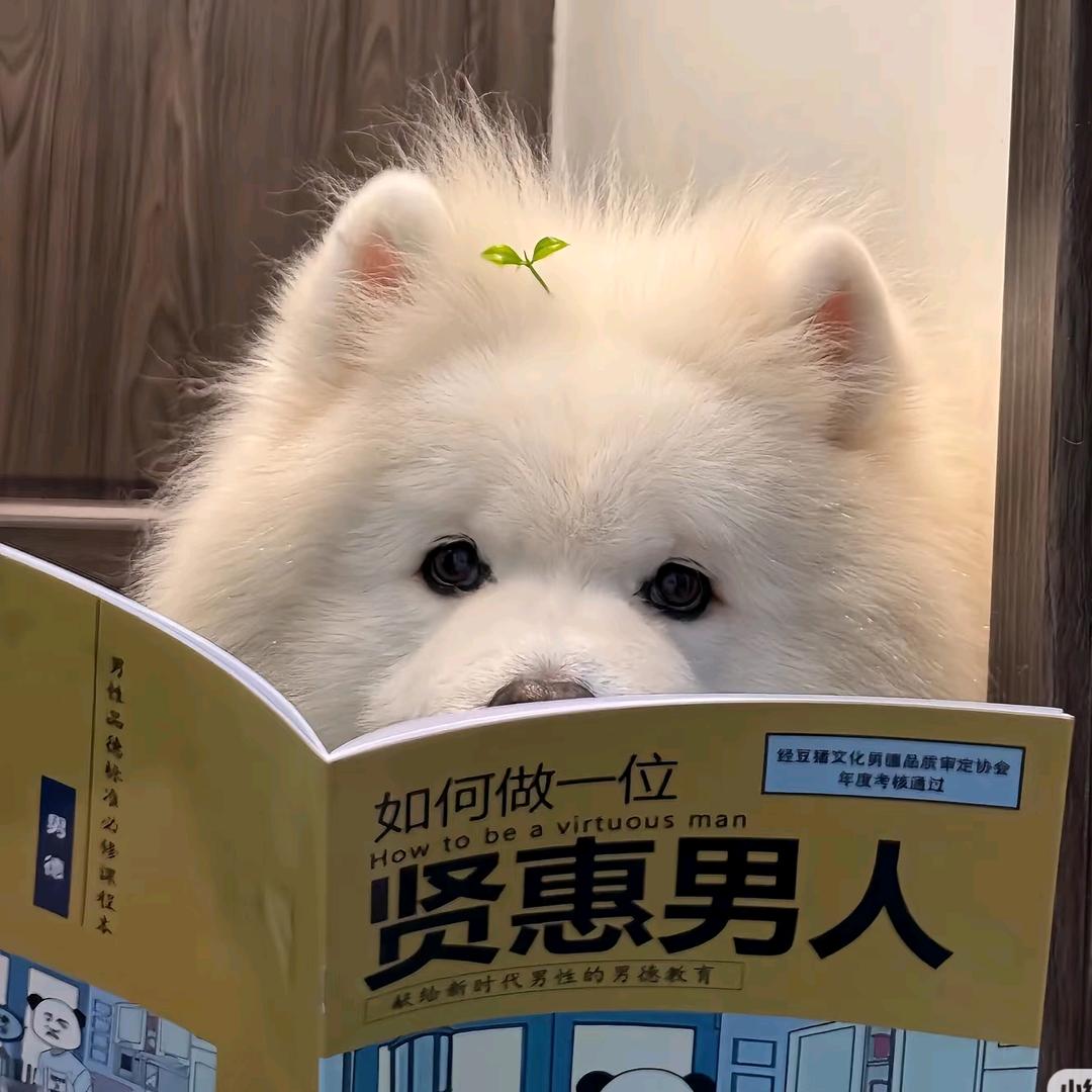 东港市夷豪冷链物流有限公司