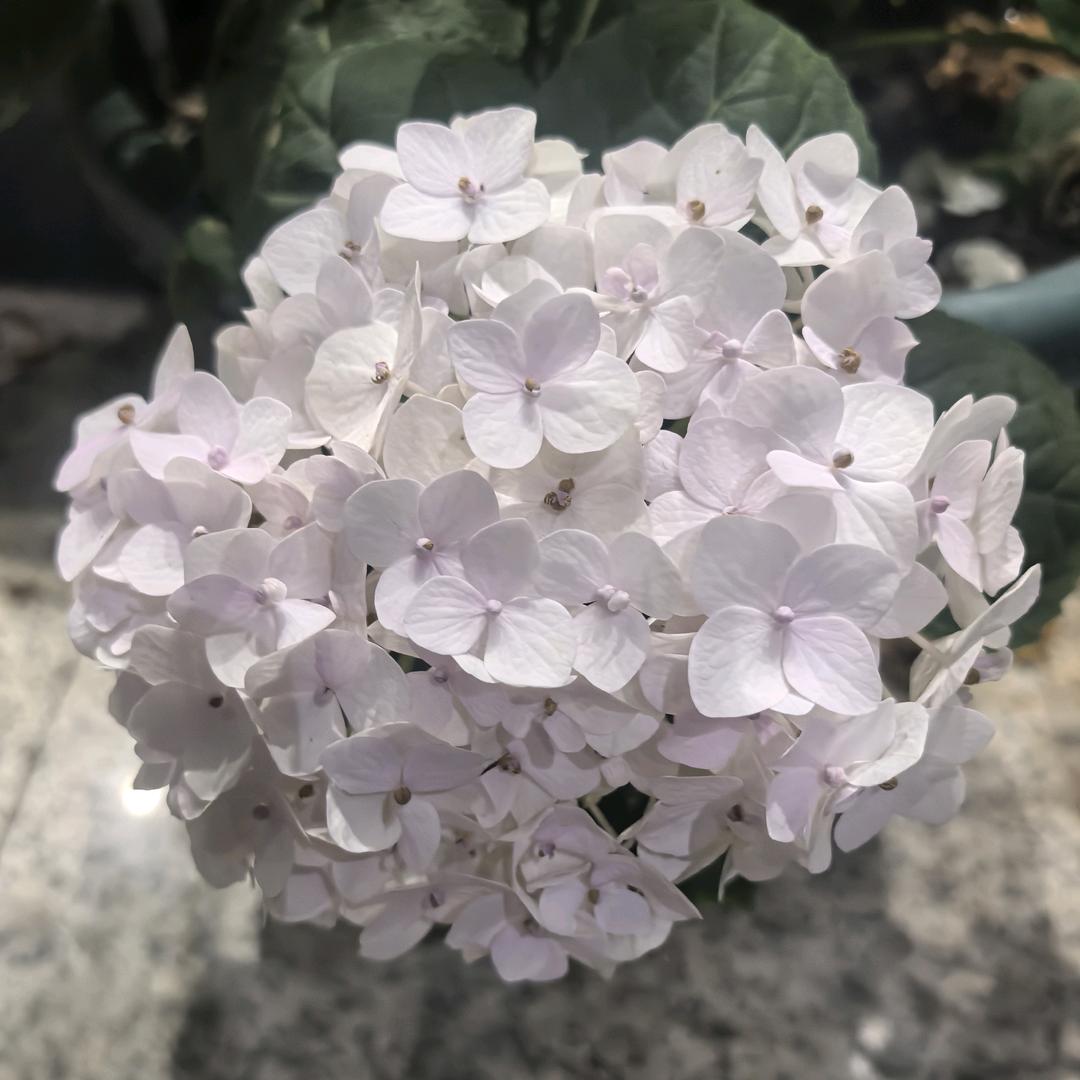 ⁰Ꙫ⁰钱兔无量⁼³₌₃