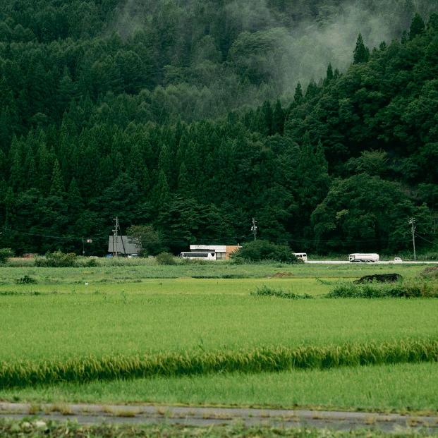 郑好有你