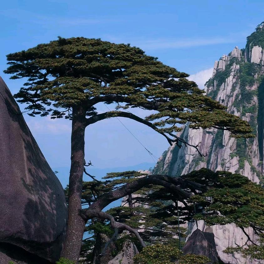 小白哥badboy🇨🇳