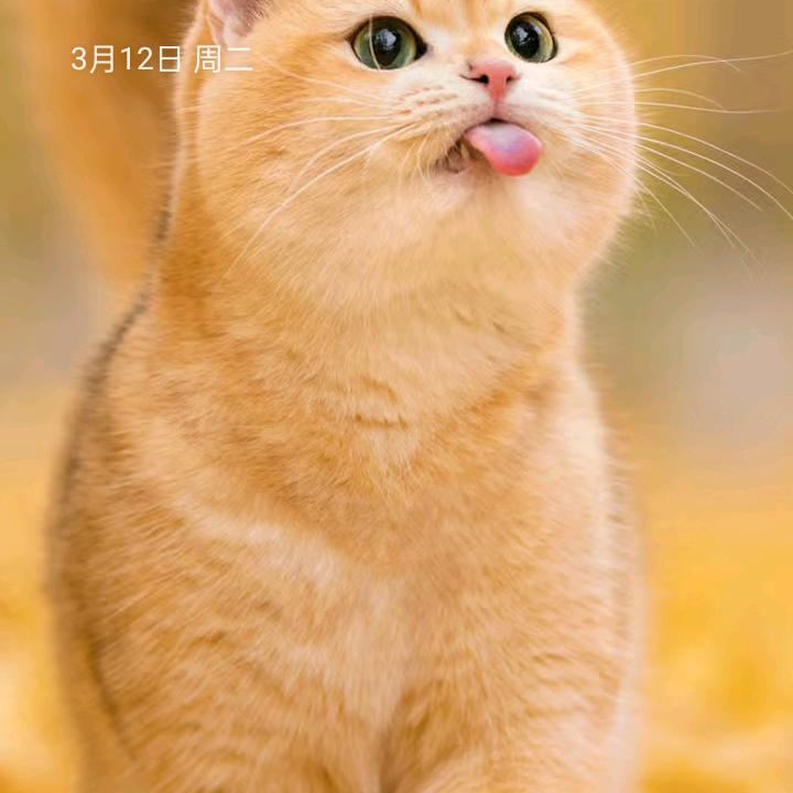 等风来！