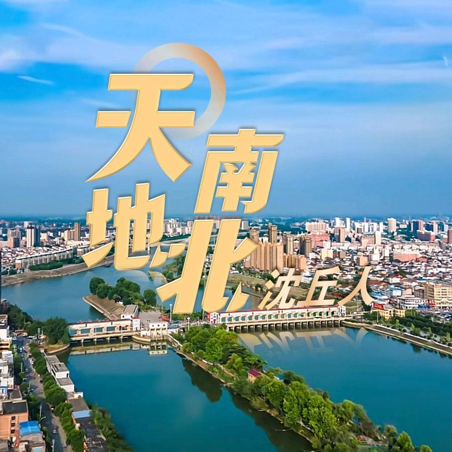 天南地北沈丘人