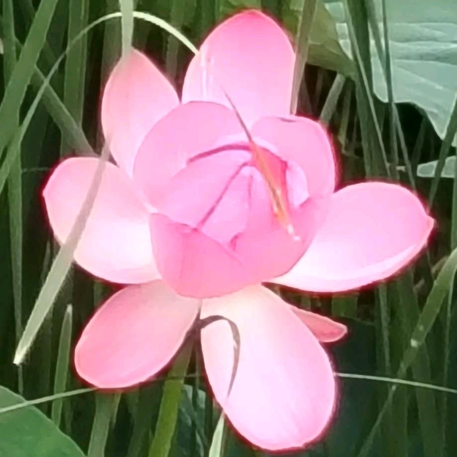 使命召唤（~v~）😎阿吴