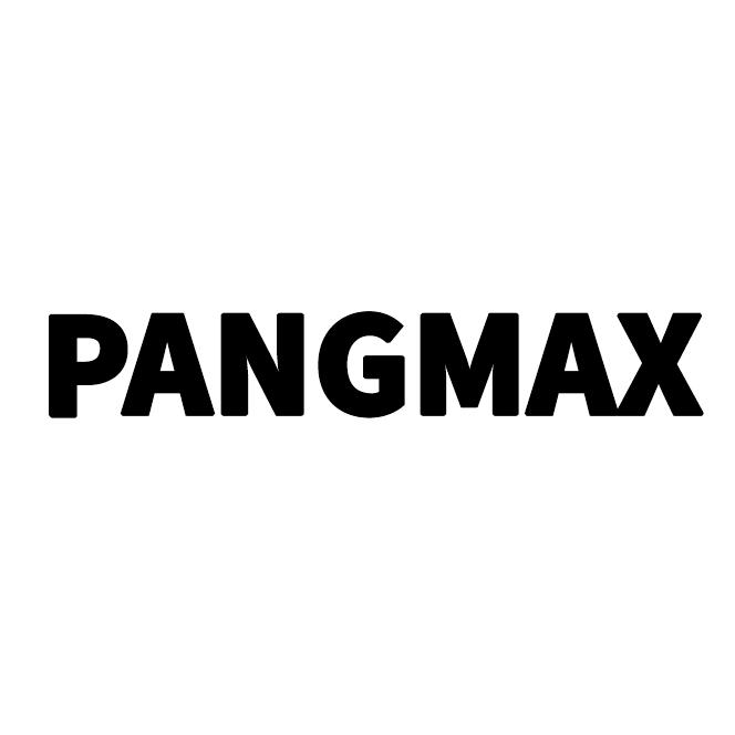PANGMAX运动大码男装
