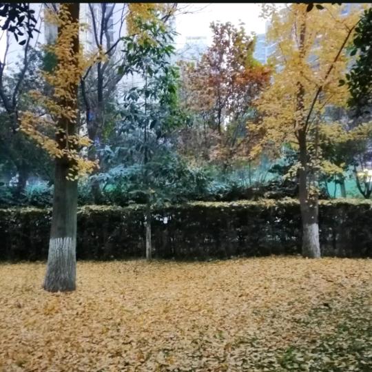 用户7824008957605