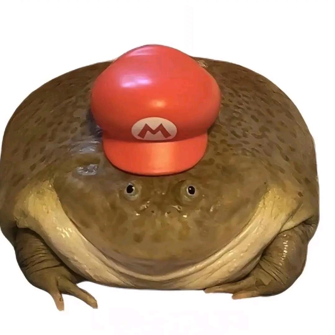 麦当🐸