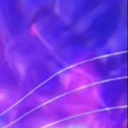 这里