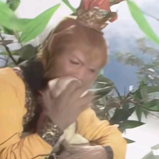 饭饭的皮眼被捅