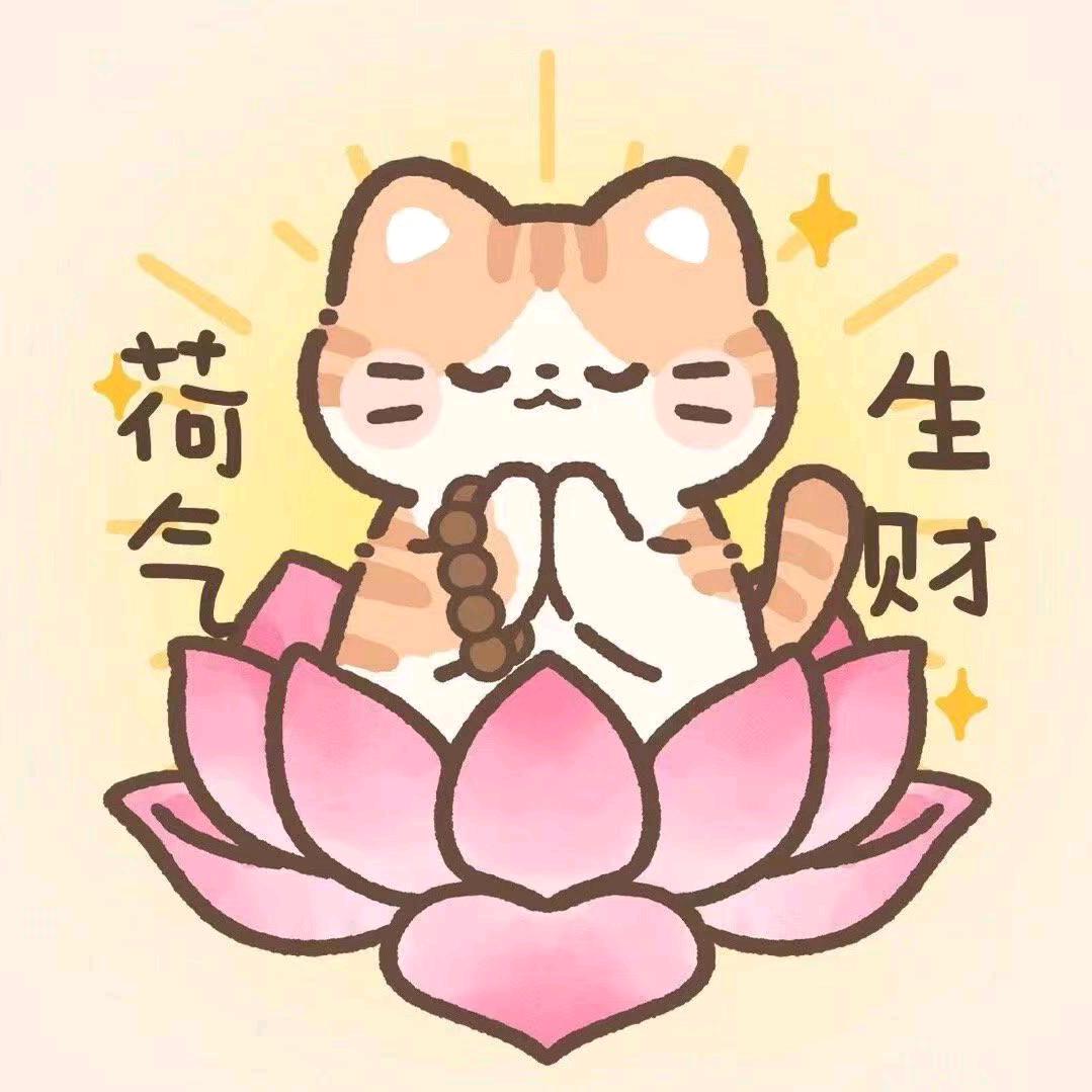 橘猫小百货