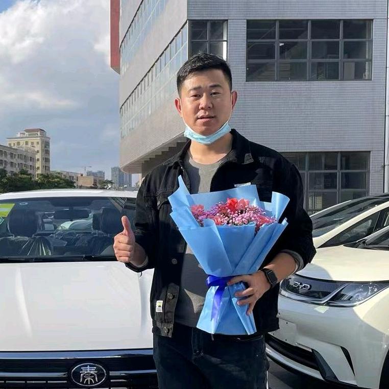 大智新能源二手车