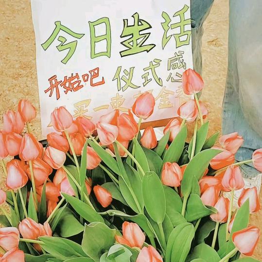 杨二土