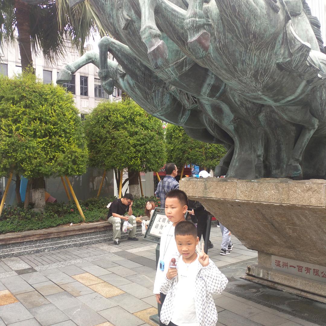 1723拖拉机专业打田