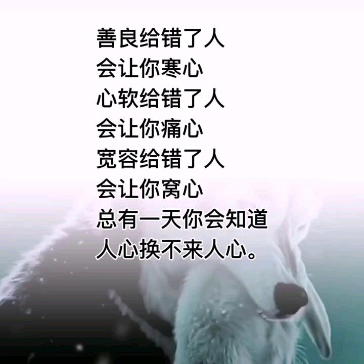 前车之鉴