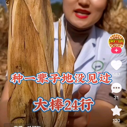 聊殿坪大绷