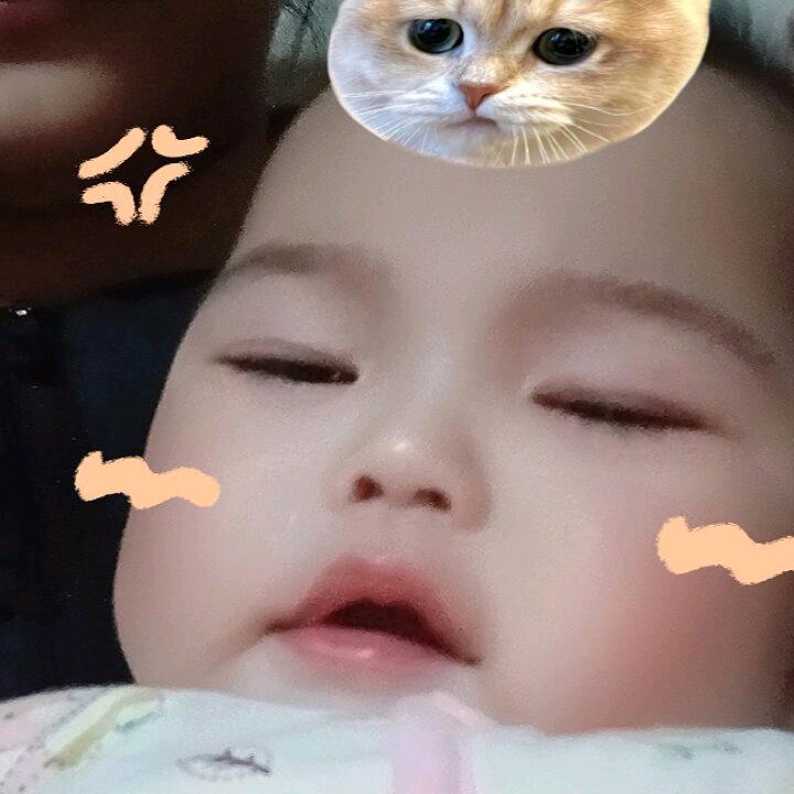 家有七宝