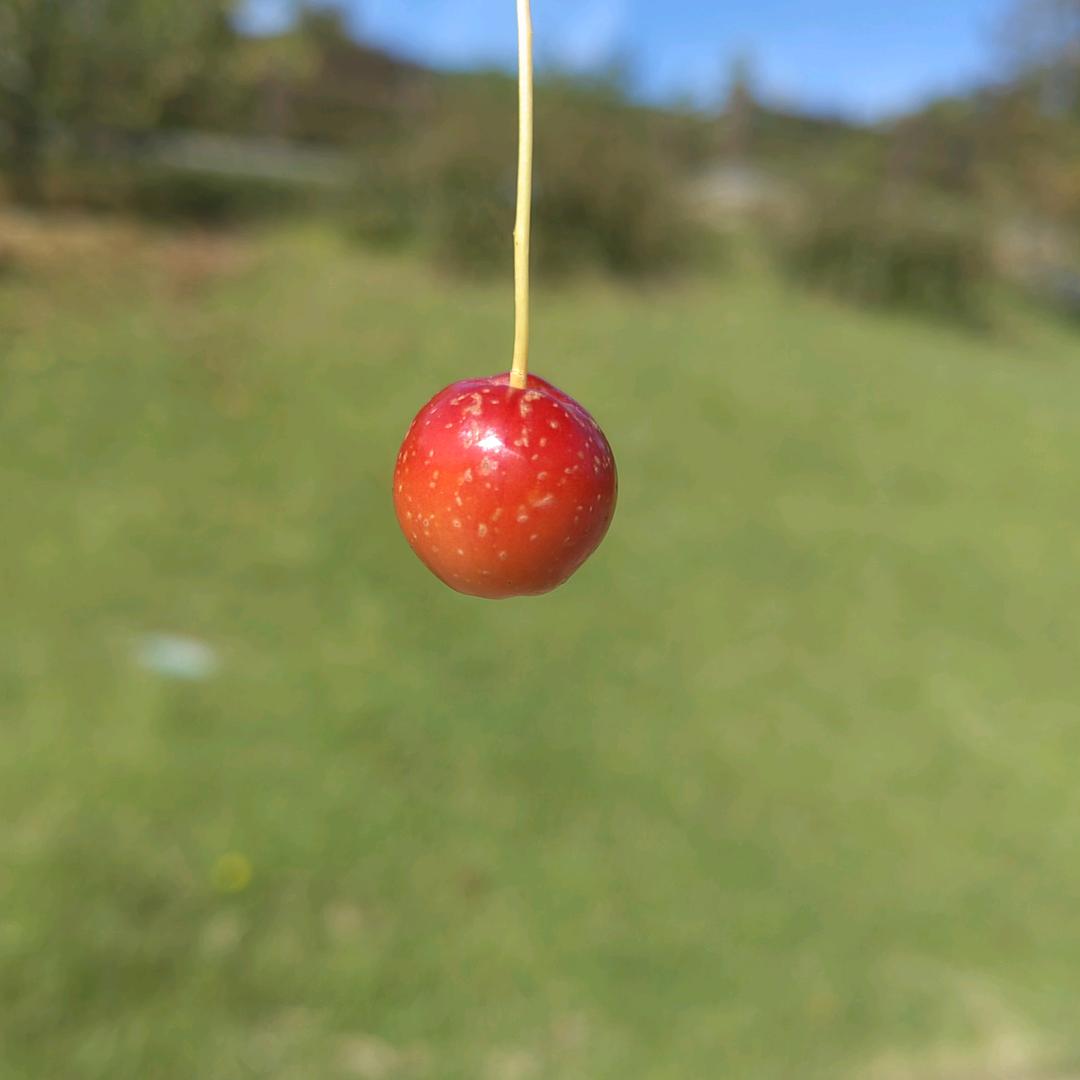 都是小把戏