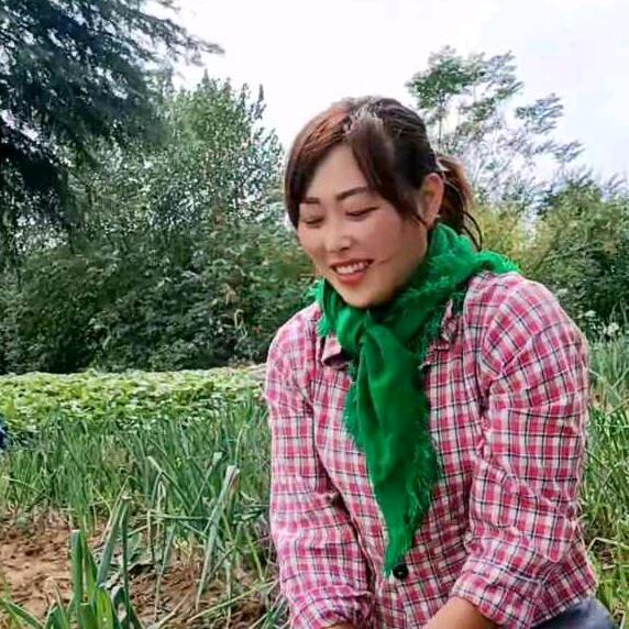 葱花（记忆乡愁）