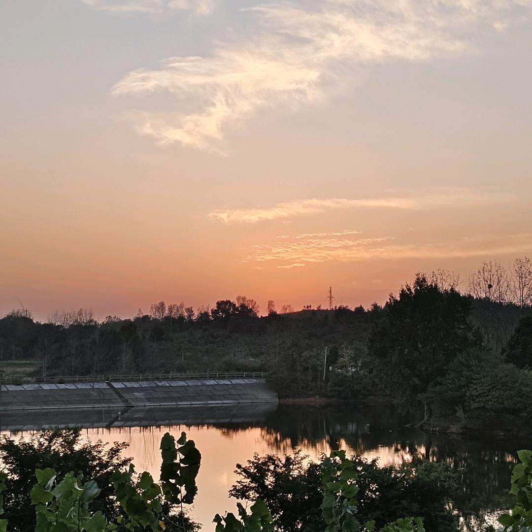 理想有机生态圈