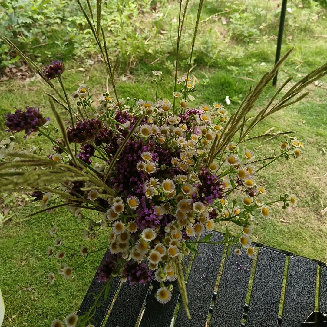 …………………ᵎ(•̀㉨•́)و ̑̑