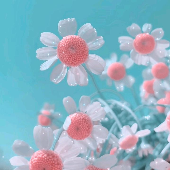 小姐姐
