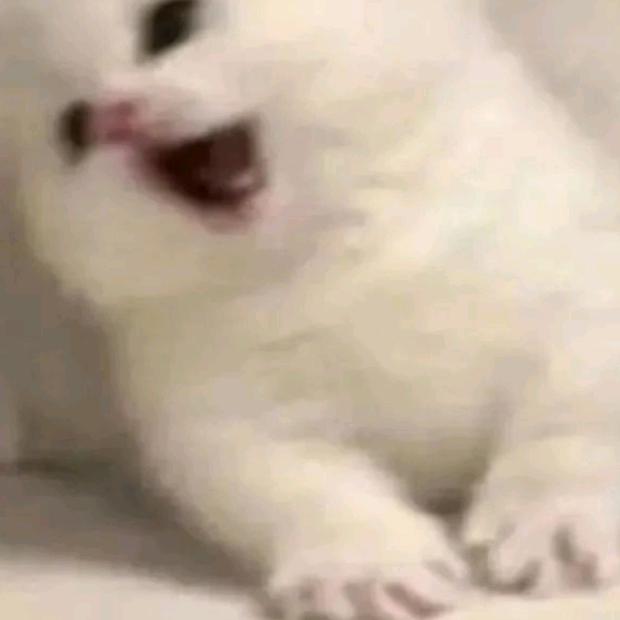 不知道