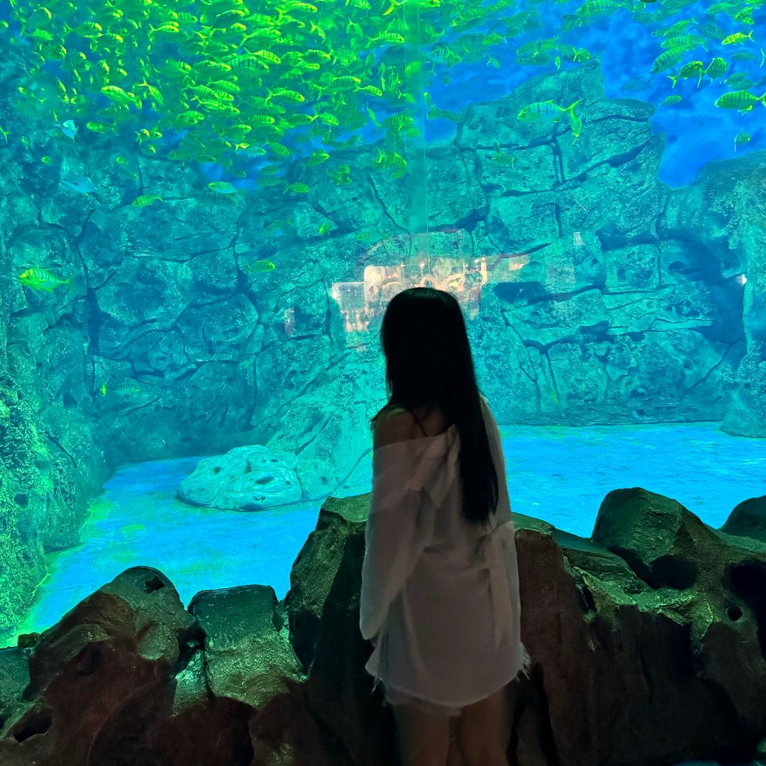 小鸭困开咯.