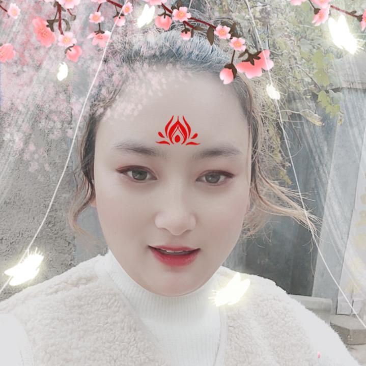 新疆煤炭销售小懒虫