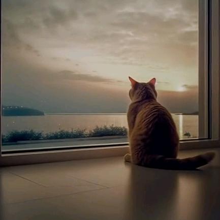 麦兜的幸福需要泡面ζ᭄