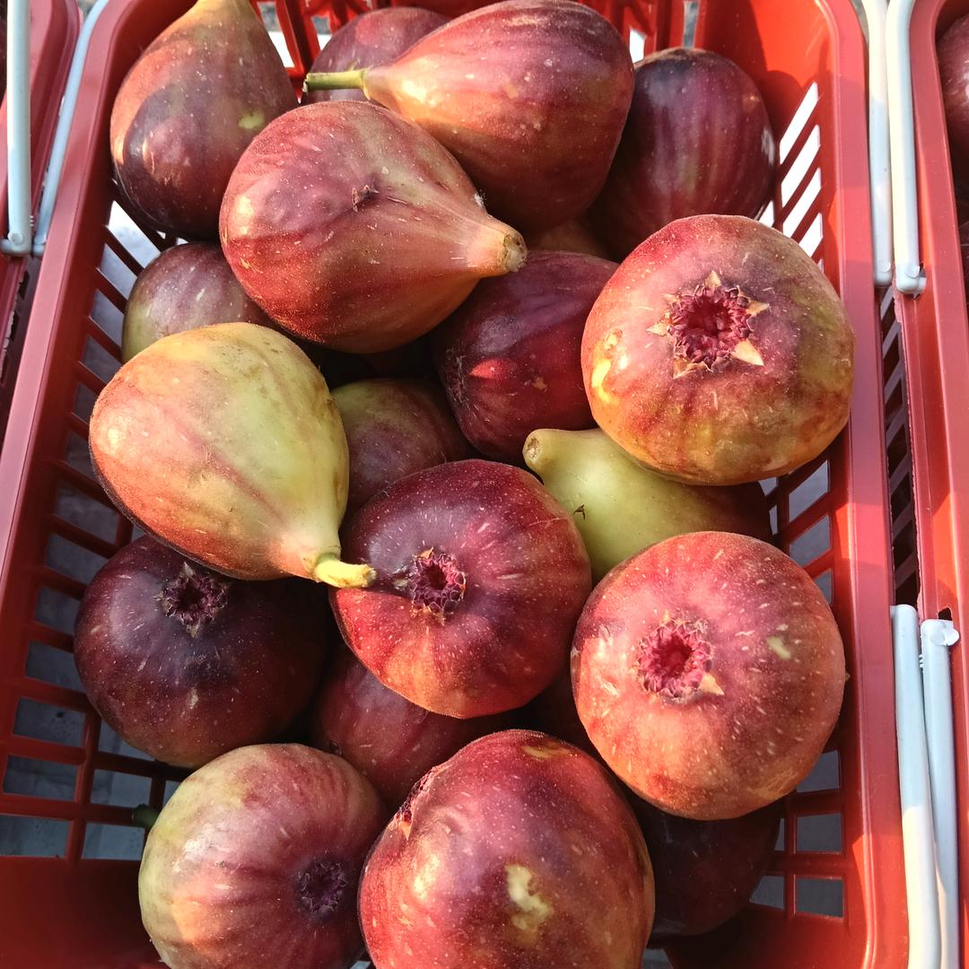 梓文优选果品,承接各类水果特产礼盒