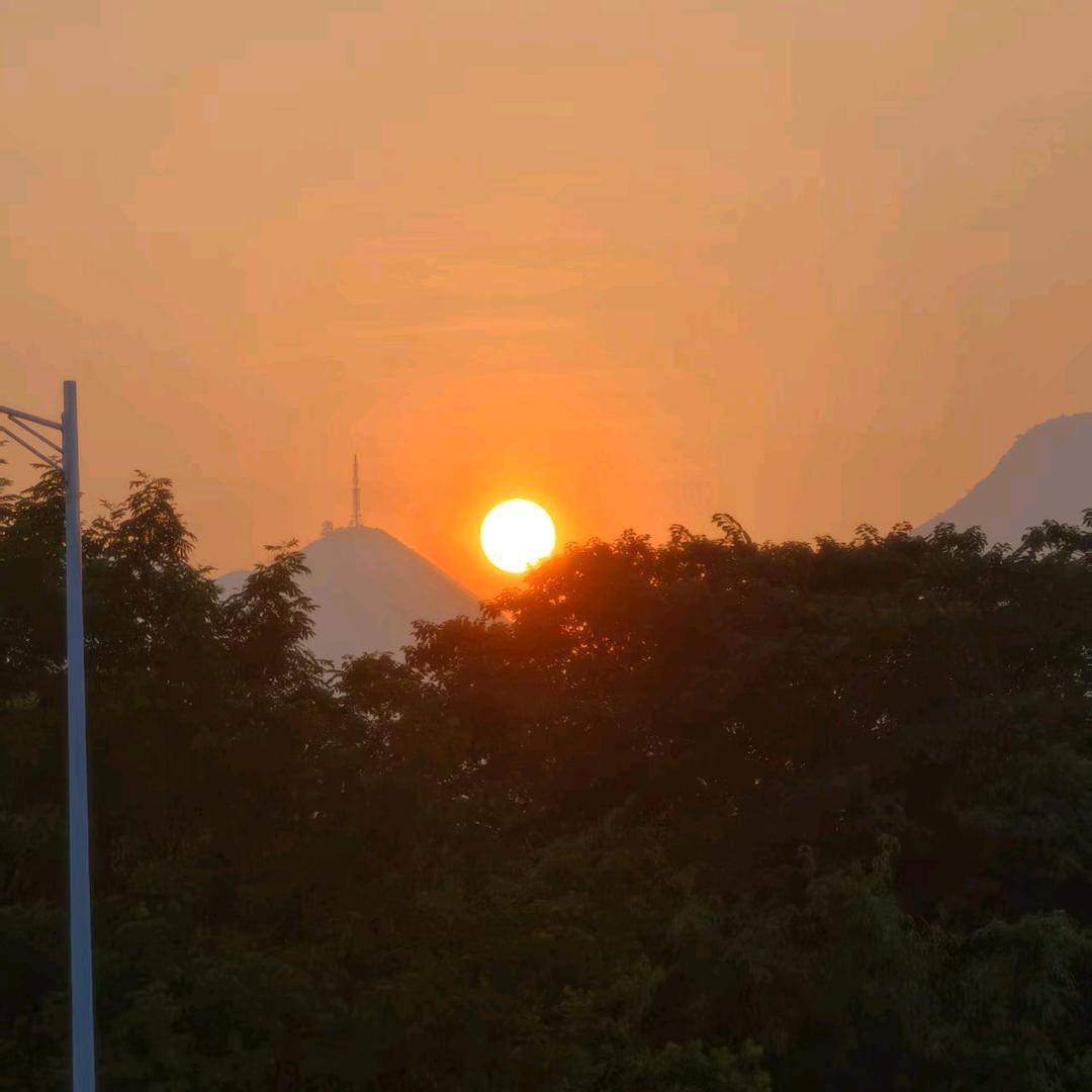 霞霞
