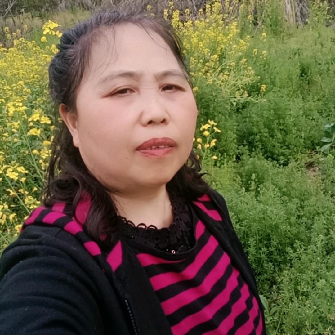 罗曼史《定时开播》