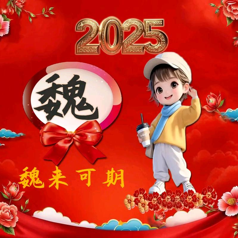 魏来可期（大卫看房小号）