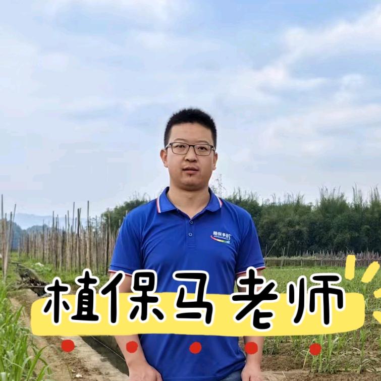 大桔大荔马老师