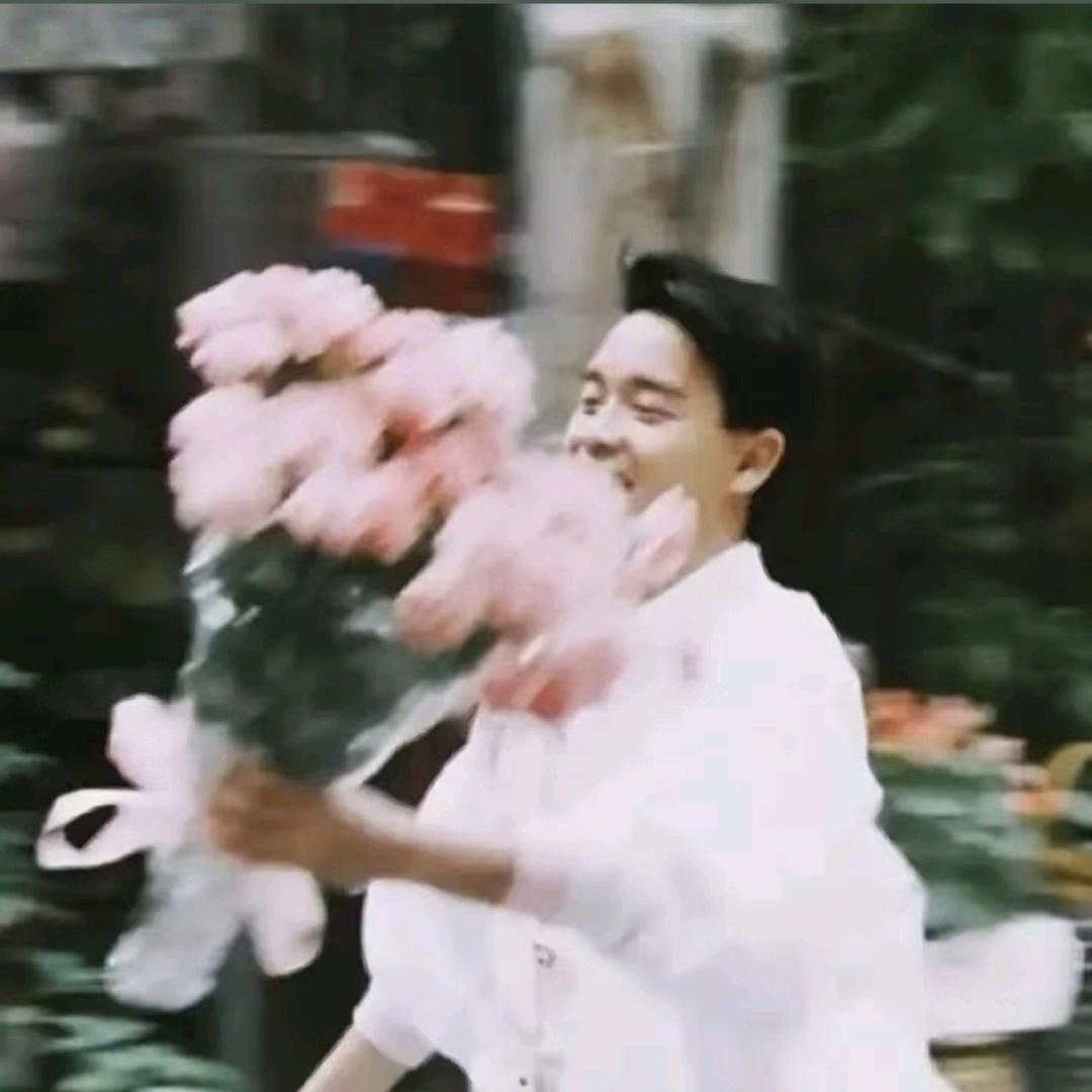 白羊花卉鲜花批发
