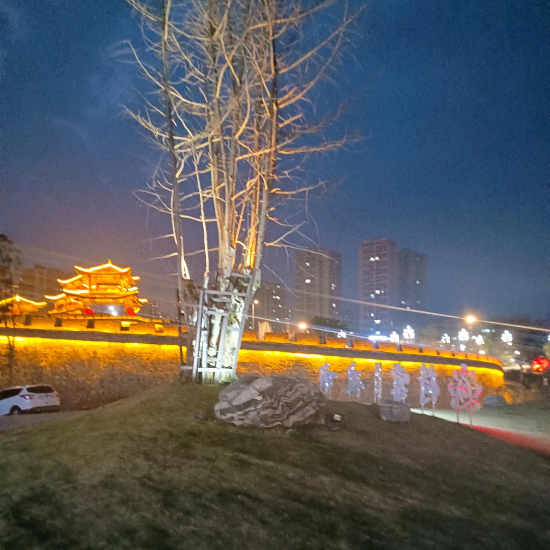 何必挽࿐离人