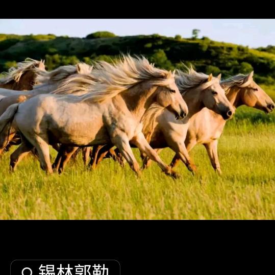 李京津农村翰萃短剧社