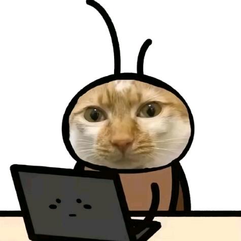 😼