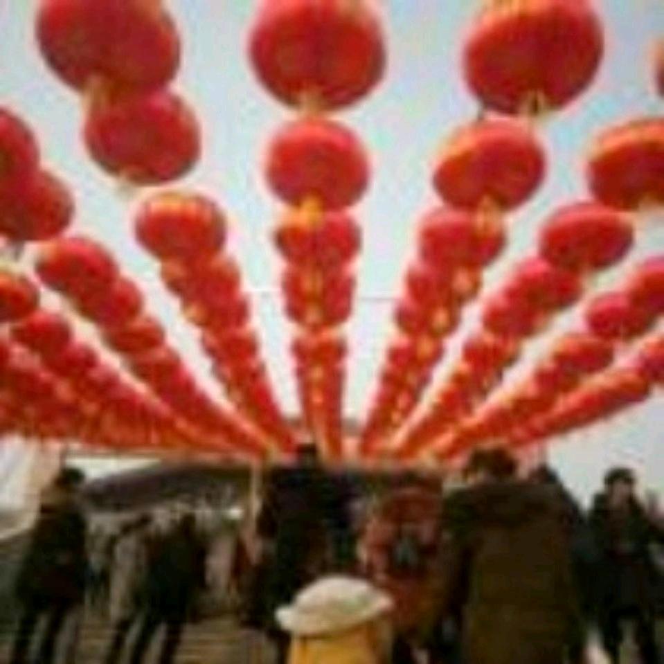美丽牡丹花