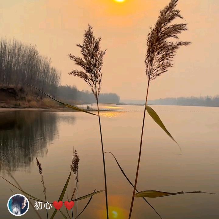 美.好