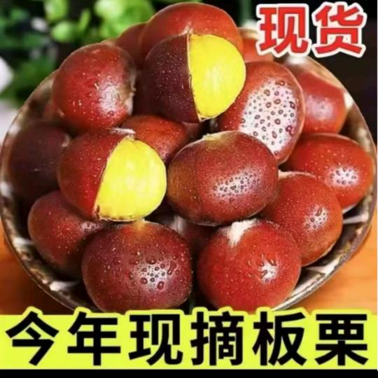 丹东新鲜大板栗新鲜现摘