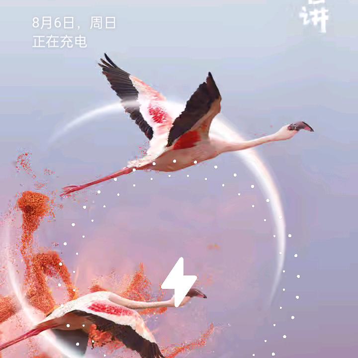 🦹¹ᶟ₁₄一周吴休꧔ꦿ᭄💞