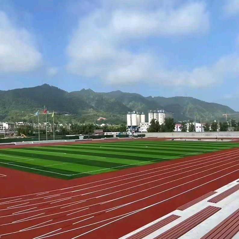 欧多曼草坪厂.lily