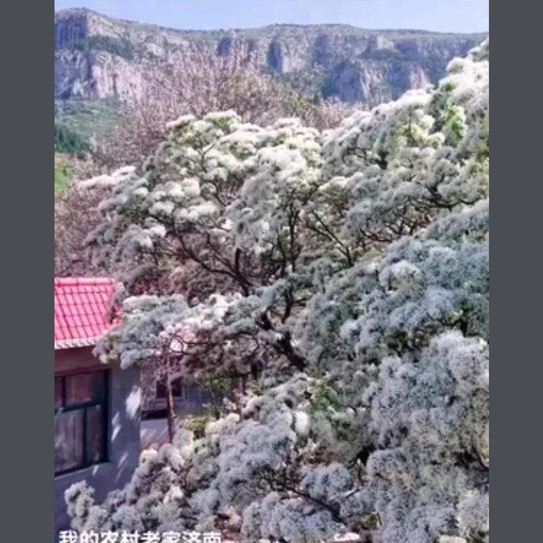 周财运5276周六中午开播