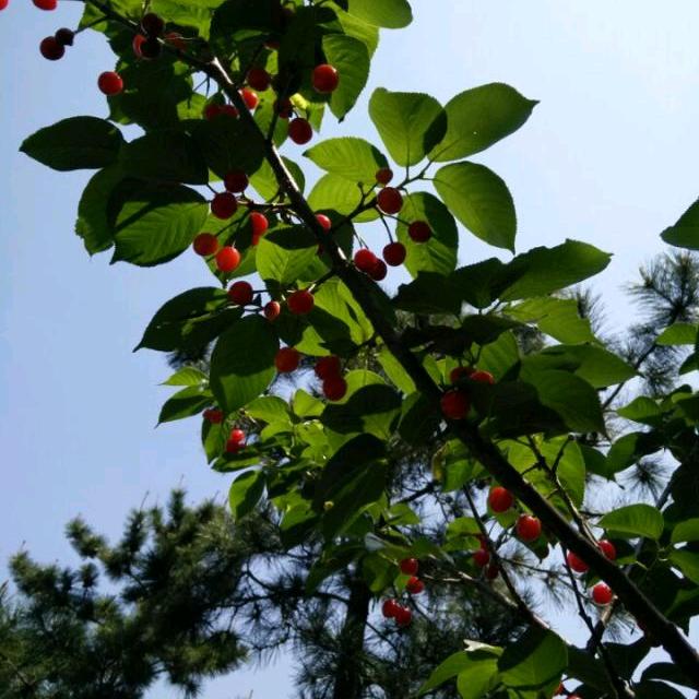 我们要好好的